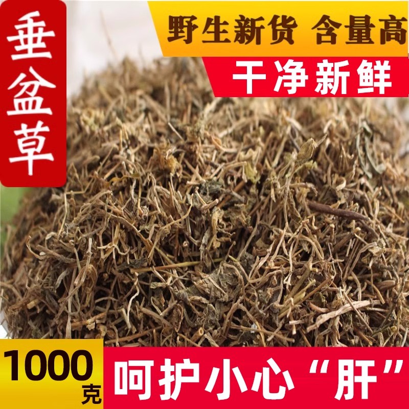 垂盆草中药材正品500g新鲜干货药用食用茶泡水非野生锤盆草的功效