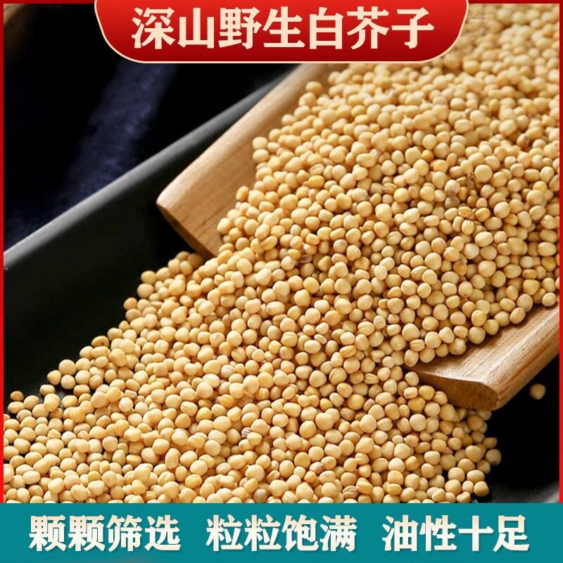 精选白芥子中药材正品荷叶山楂白芥子茶包野生柿子叶粉炒白芥子粉