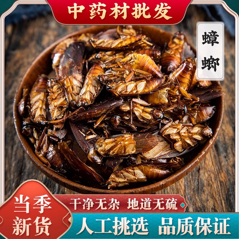 蟑螂中药材蟑螂干干蟑螂粉干磨粉