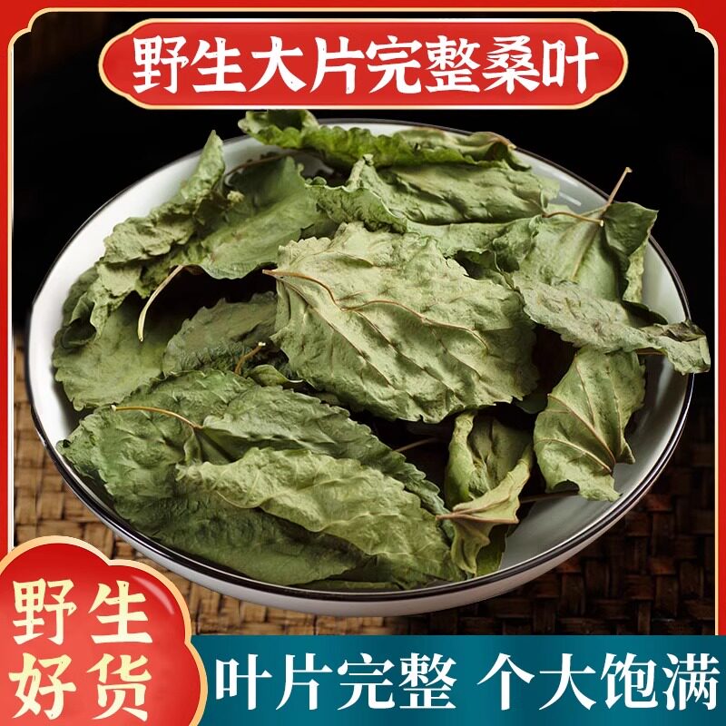 野生霜后桑叶中药材正品500g深山霜后新鲜干桑树叶霜打老桑叶泡水