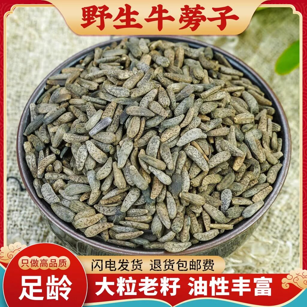 牛蒡子中药材500g正品牛蒡子茶牛蒡子磨粉干大力子牛子另售牛蒡根