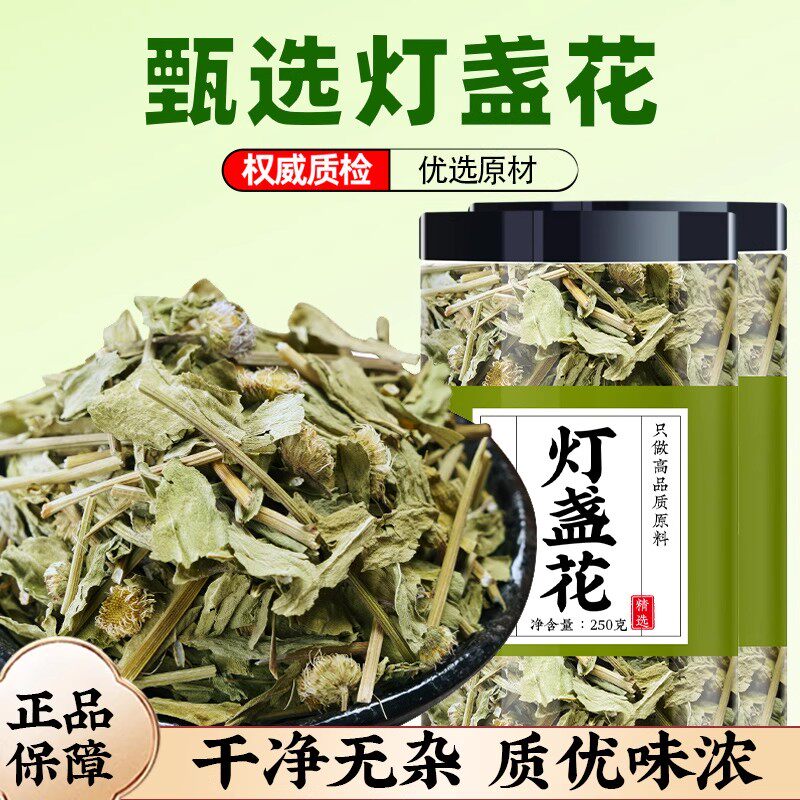 野生灯盏花中药材正品云南灯盘花新鲜灯盏细辛泡水喝干货灯盏花茶