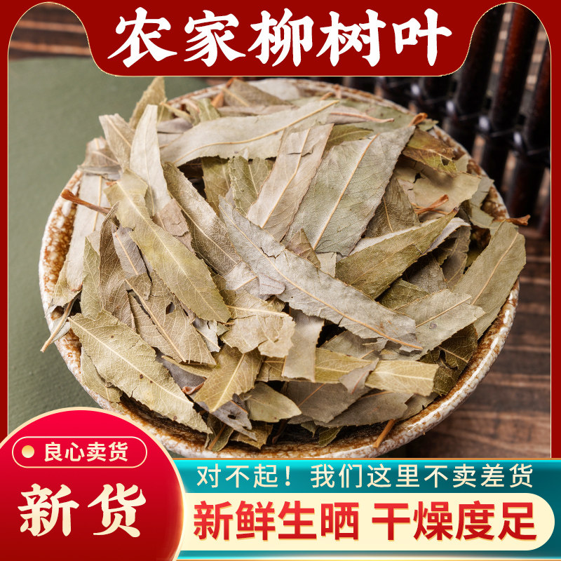 柳树叶中药材500克g新货晒干柳叶柳枝叶柳叶杨柳叶垂柳叶柳树叶茶