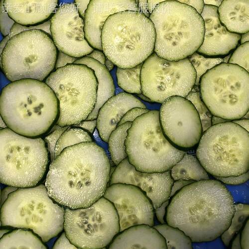 O用南切片机卷心瓜菜切丝机COV达宝切菜机商叶菜切段设备瑞辣椒切