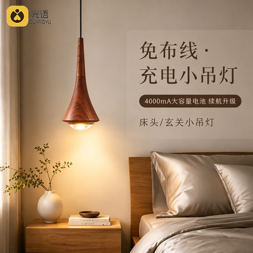 免布线充电床头玄关小吊灯