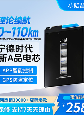小哈电动车锂电池60V45AH磷酸铁锂外卖骑手大容量电瓶车电池