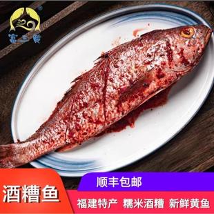 顺丰包邮1500g/3条酒糟鱼富三黄糟瓜鱼福建特产真空黄鱼鲞海鲜