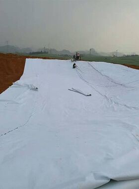 屋顶花园防水材料土工膜防渗膜黑色300克500克600克藕池鱼池防水