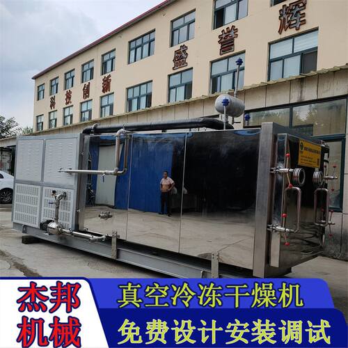 冻干小青桔 果蔬脆火龙果片冻干 小型真空冻干机