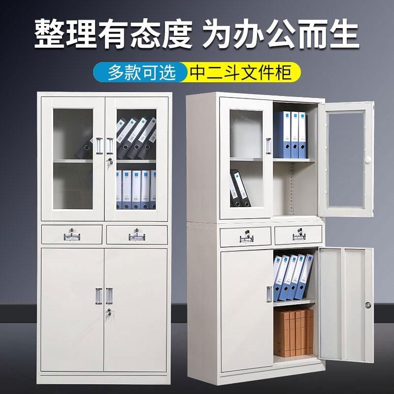 钢制文件柜公室资料档案GW-WJG00柜办财凭证柜带柜锁铁务皮文件储