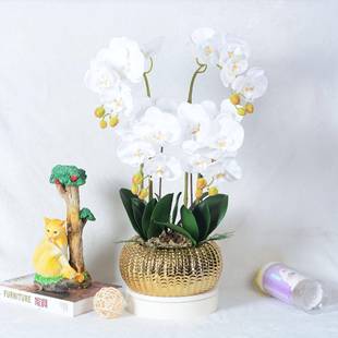 仿真花蝴蘭套裝 蝶飾假花絹擺廠XSV家直花銷批 陶瓷大盆栽件盆景裝