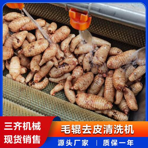 农产品花生去泥沙清洗机 胡萝卜去泥磨皮机 1.5米洋芋土豆去皮机