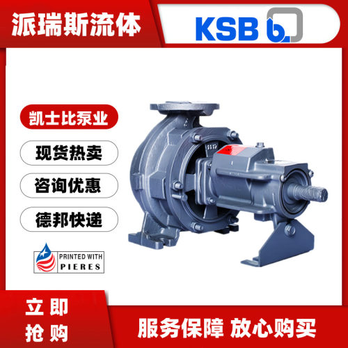 现货德国凯士比KSB循环导热油泵ETNY080-065-250 SG DB08LA30370