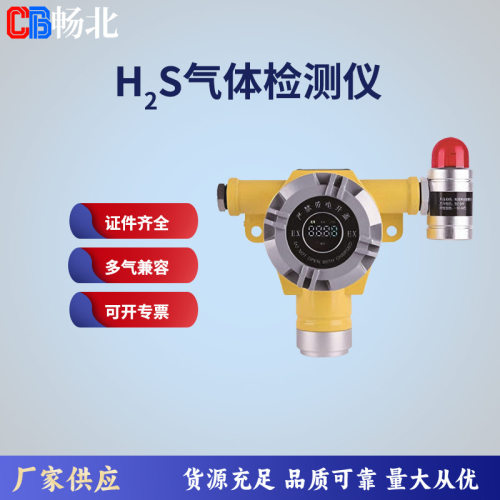点型硫化氢气体检测仪化工环保用管道口壁挂安装在线式H2S监测仪