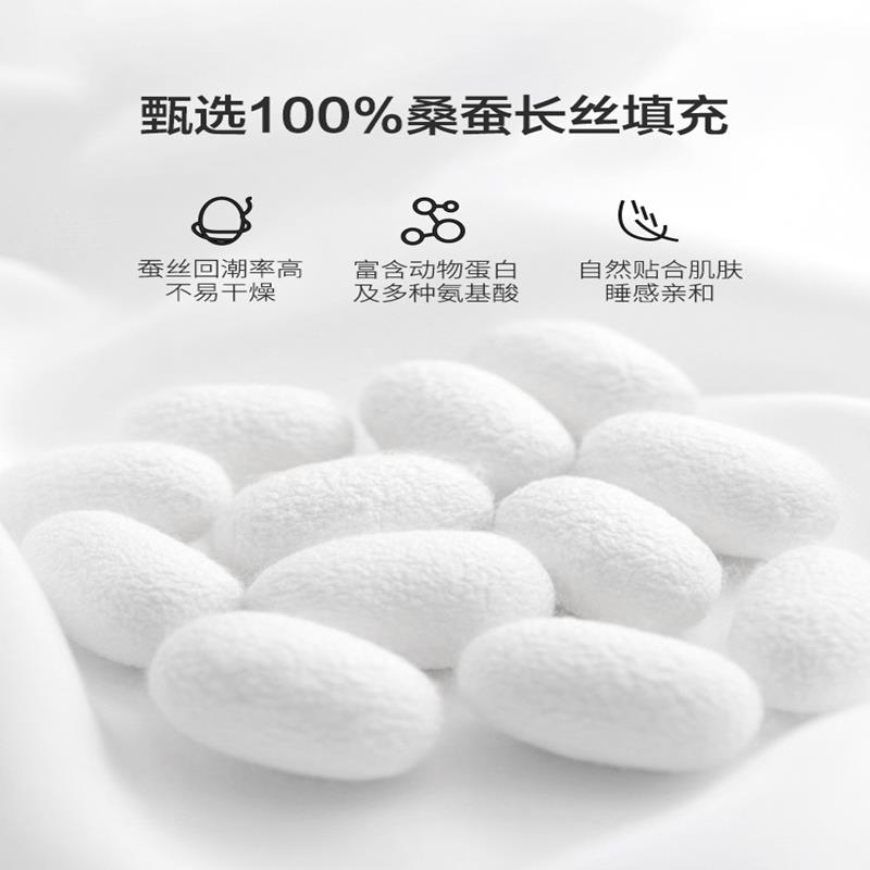 真丝枕头蚕丝枕100桑蚕丝长丝单人侧睡枕助睡眠护颈椎枕芯一对装