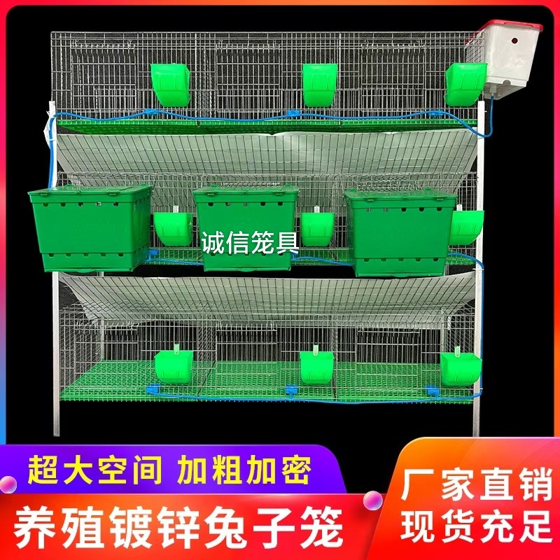 兔笼养殖兔笼家用大号铁丝网自动清粪加密兔子笼子产笼宠物兔舍