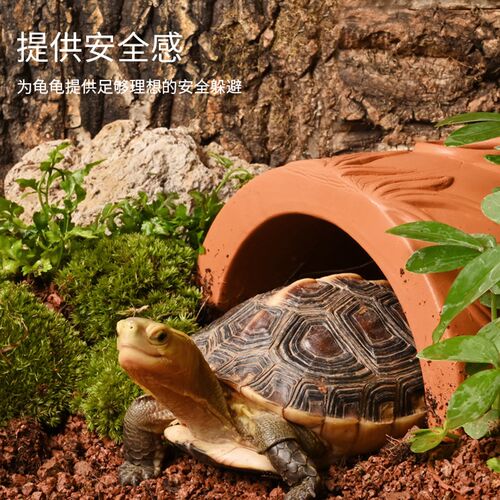 爬宠躲避洞陶土躲避长效保湿躲避窝黄缘龟躲避角蛙仓鼠守宫躲避屋