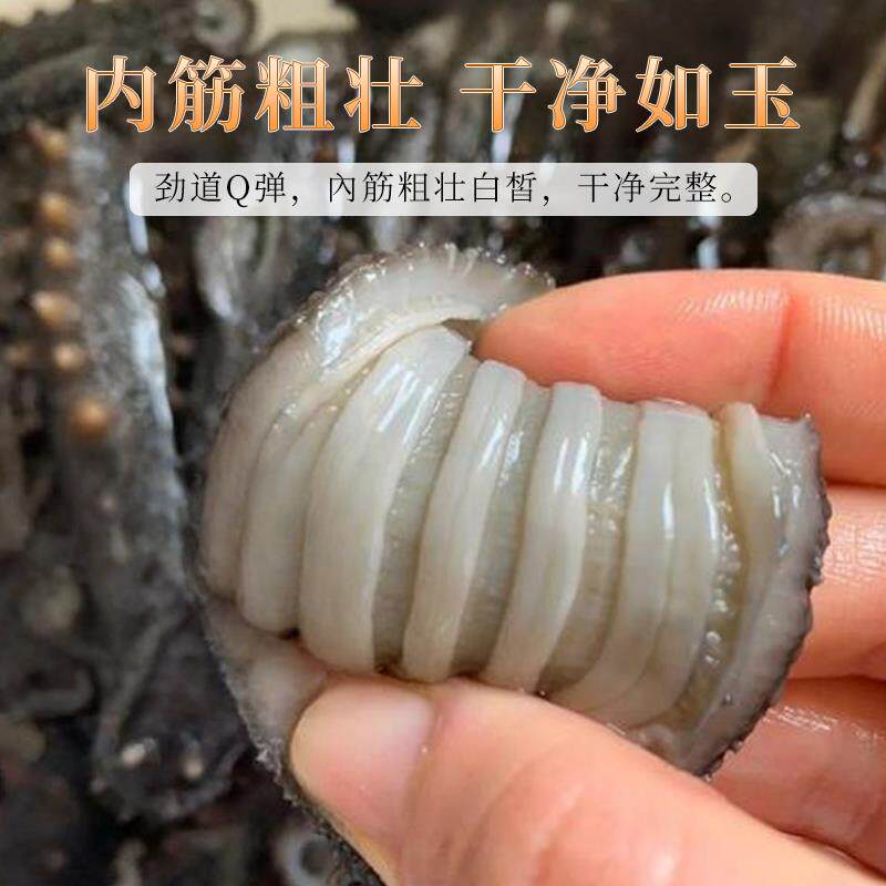 正品15倍泡发大连野生淡干海参干货礼盒装高端深海辽刺参500g特价