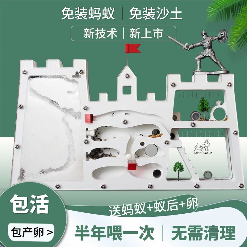 免装版蚂蚁城堡蚂蚁工坊送蚁后卵学生观察生态蚁巢箱室屋家园巢穴