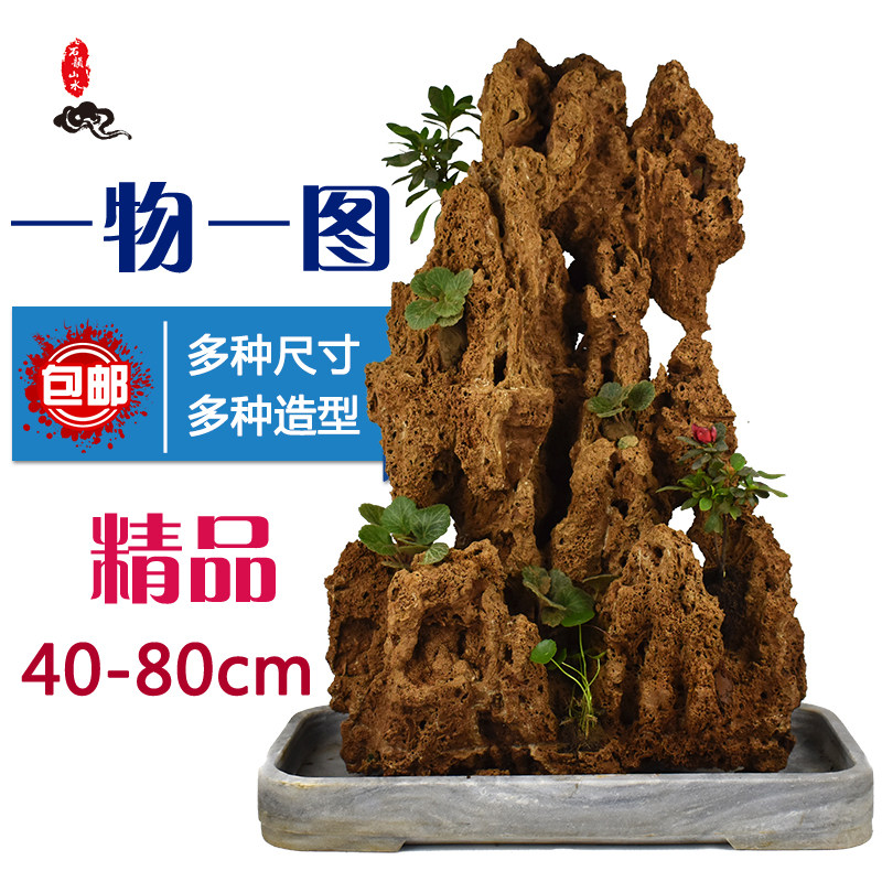 吸水石头盆景上水石水秀原石客厅中大观赏奇石真石植物假山造型石