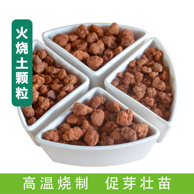 高温烧制火烧土兰花石铺面石红土颗粒营养土陶粒珍珠岩兰园火