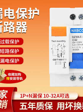 DZ30LE-32A1P+N家用小型漏电保护器DPN双进双出双线漏保16A20A2