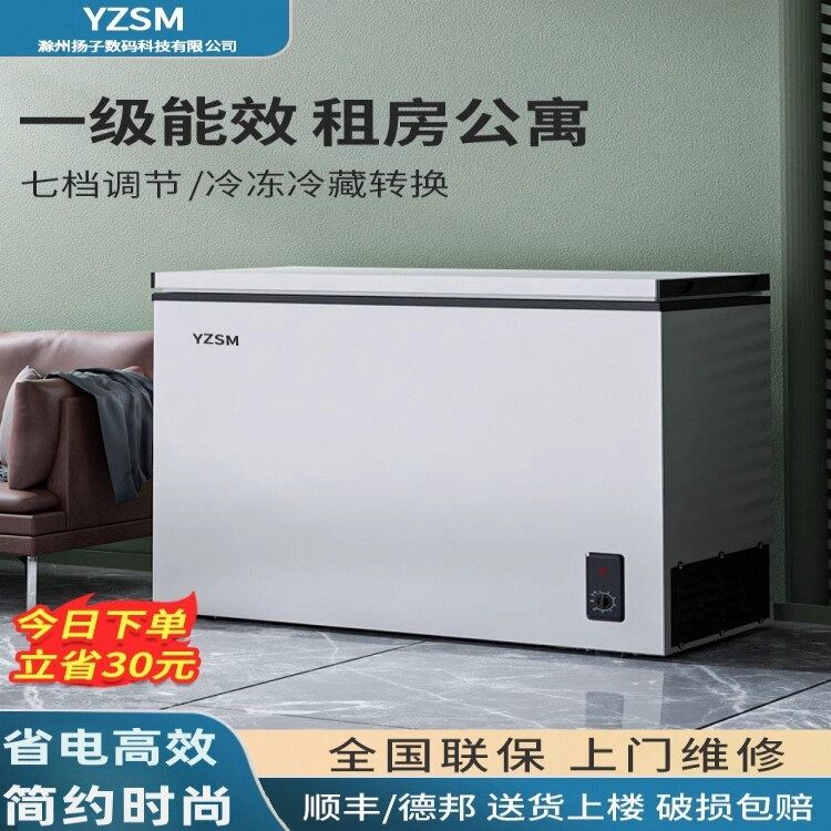 扬子数码一级节能小冰柜家用全冷冻小型商用大容量冷藏无霜两用柜