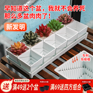 美莳多肉专用花盆小号白色树脂套装精致植物控根塑料架子底座托盘