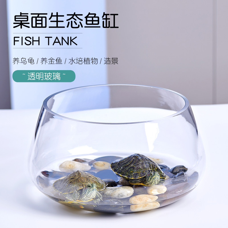 鱼缸玻璃圆形办公桌绿萝水培家用小鱼创意透明小型迷你桌面乌