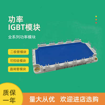 全新IGBT功率模块BSM100GD60DLC BSM150GD60DLC