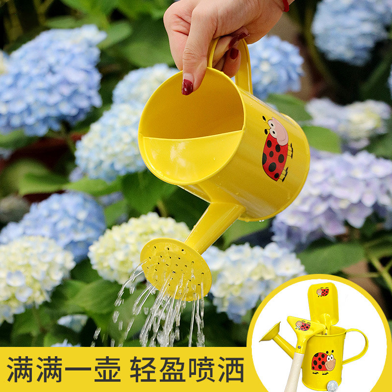 园艺小型家用宝宝儿童多彩铁皮洒水壶浇花浇水壶水桶花艺插花