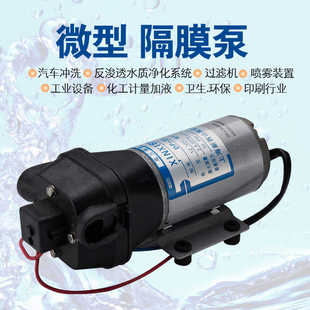 35DP 正新西山DP 50微型隔膜增压泵清洗机增压泵RO膜高压隔