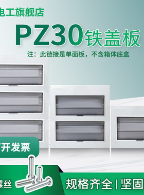加大PZ30配电箱白色面板铁盖板箱盖子10/12/15/18/20回路单双排