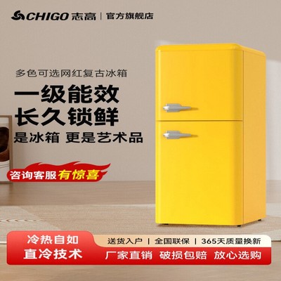 志高复古冰箱小型怀旧家用双开门冷藏冷冻迷你出租房省电二人用