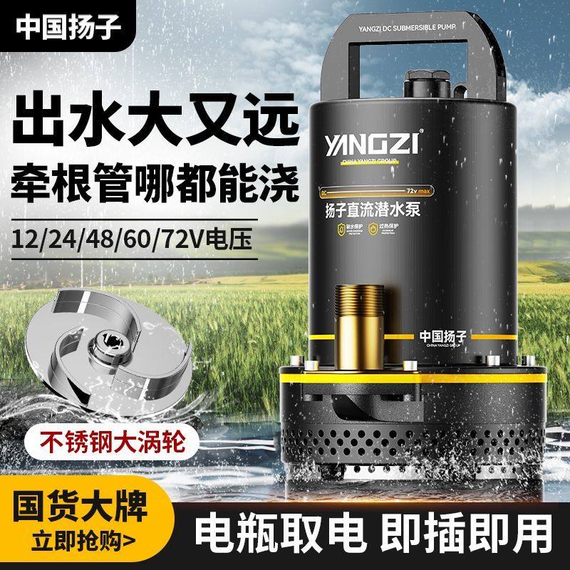 扬子直流潜水泵12V48V72V电瓶电动车抽水家用农用灌溉大功率水泵