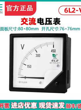 TENN天正电气 6L2-V电压表安装式仪表450V 500V交流指针表80*80