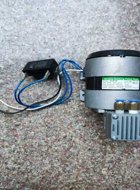 【议价】G&MTech交流真空泵/采样泵20RNS220