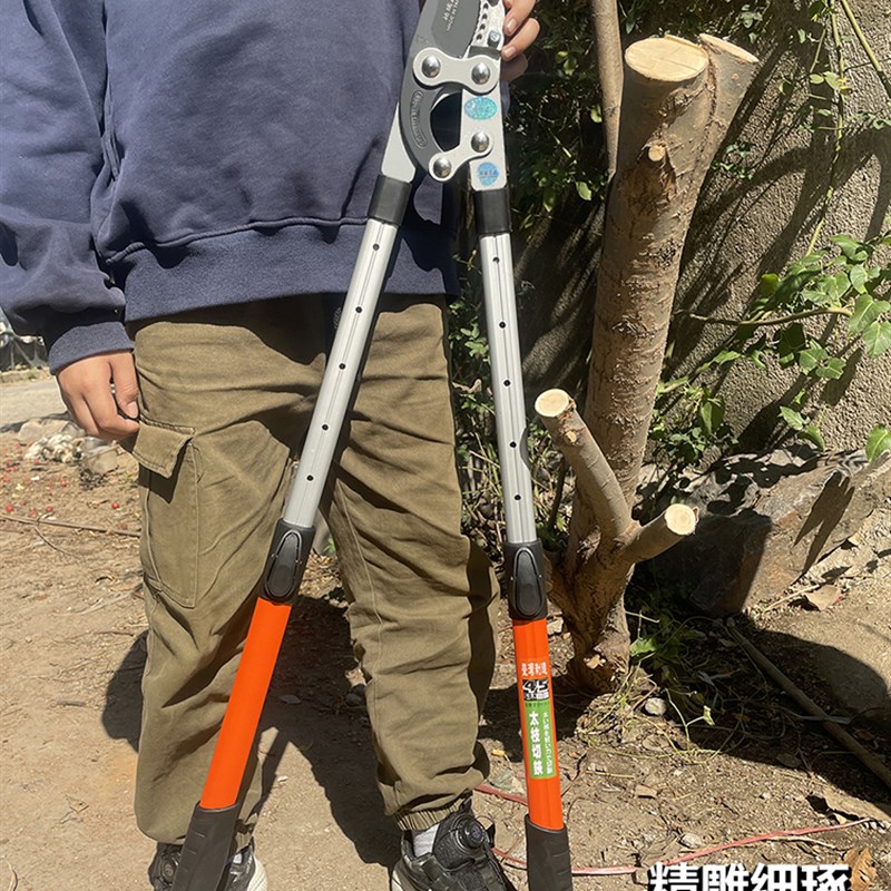 修剪树枝剪园艺粗枝果树园林大力竹子专用电花树枝伸缩动剪刀钳子