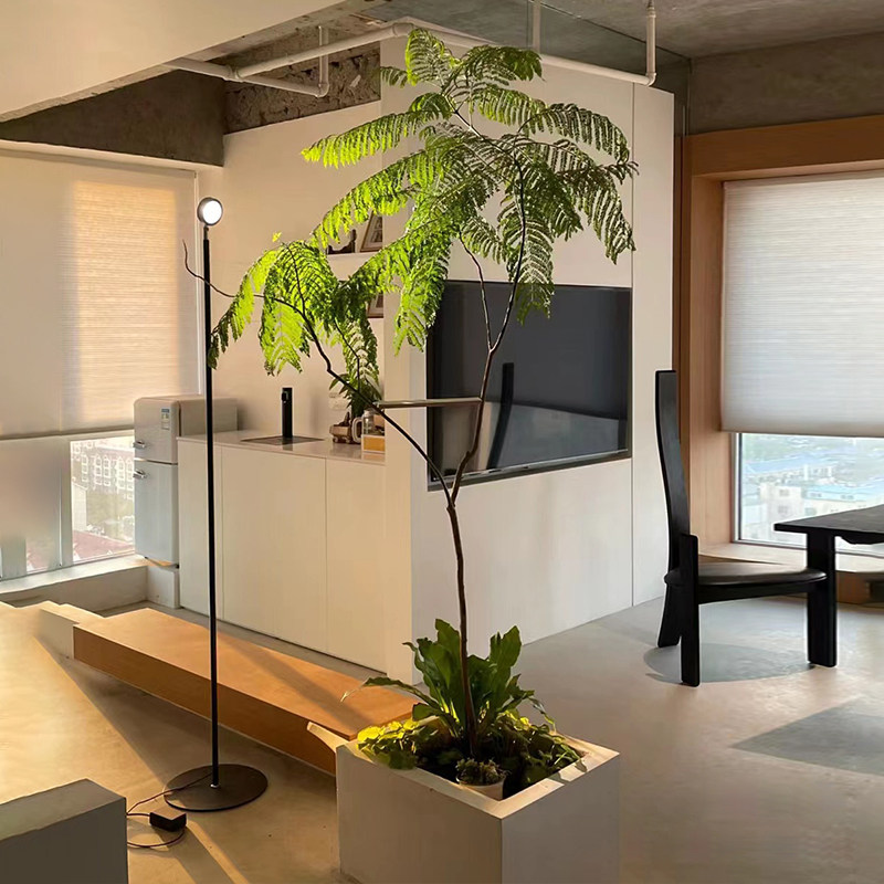 仿真绿色植物蓝色的花楹室内客厅高端轻奢仿生植物落地盆栽假树装