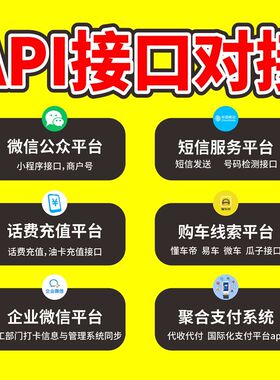 api接口对接开发定制三方接口源码二次开发网站商城源码定制开发