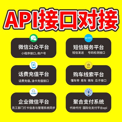 api接口对接开发定制三方接口源码二次开发网站商城源码定制开发