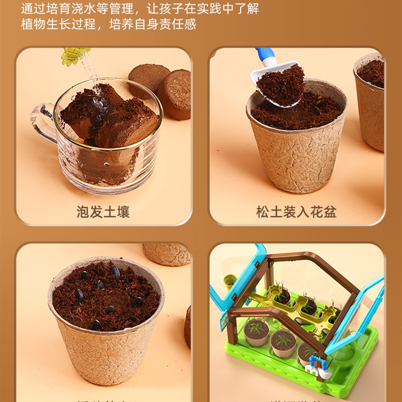 儿童种植小盆栽绿植室内观察幼儿园迷你室内花卉小孩子养植物生长