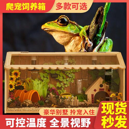 爬宠饲养箱树蛙角蛙恒温箱爬虫饲养盒刺猬蛇陆龟柯尔鸭温控保温箱