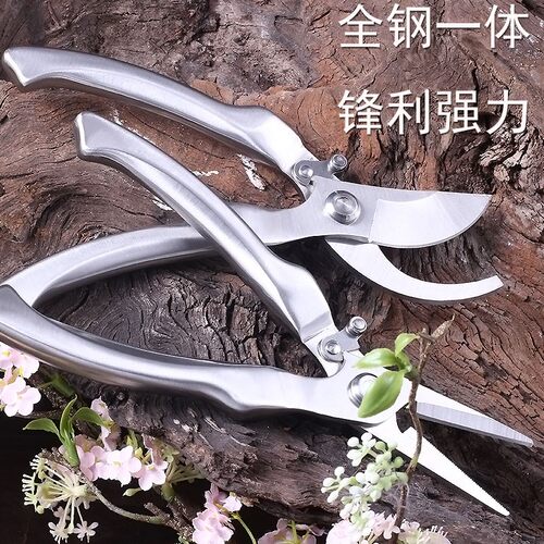 全钢一体修枝剪进口不锈钢强力园艺剪刀盘景剪鲜花剪锰钢树枝剪