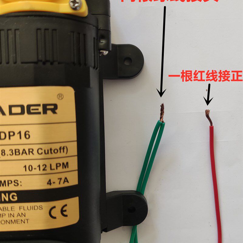 喷雾器双泵12V双核动力水泵洗车水泵农用高压双泵智能双泵抽水泵