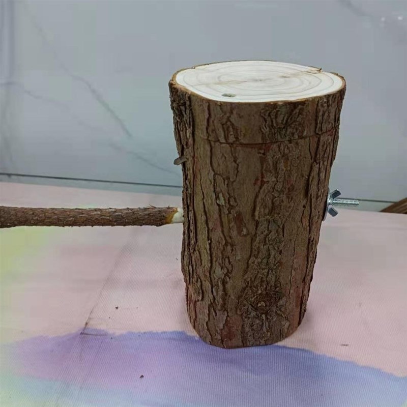 贝子鸟玄凤小型鸟类空心树桩鸟窝杉木木头躲藏窝繁殖窝树洞窝保暖