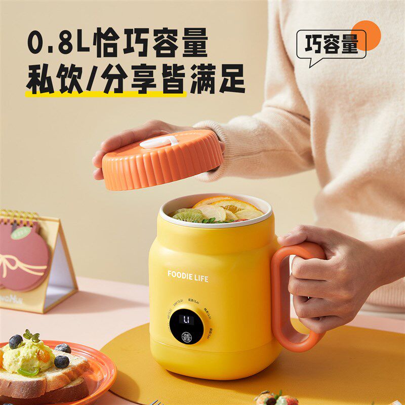 宿舍小锅一人食电煮锅小型迷你小容量煮面锅便携式烧水煮粥小电锅