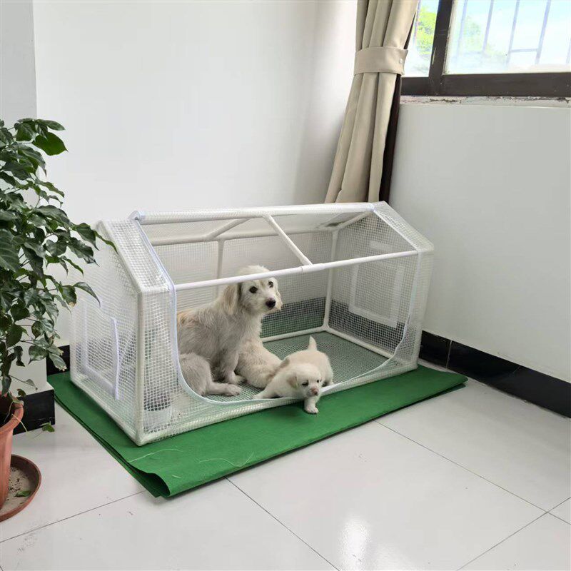 花棚暖房家用温室保暖防冻罩冬季花绿植多肉阳台小宠室外阳光暖棚