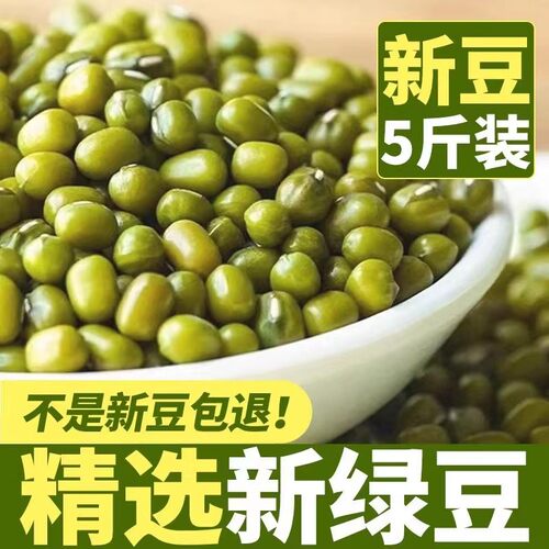 2025年新鲜绿豆新货5斤东北农家