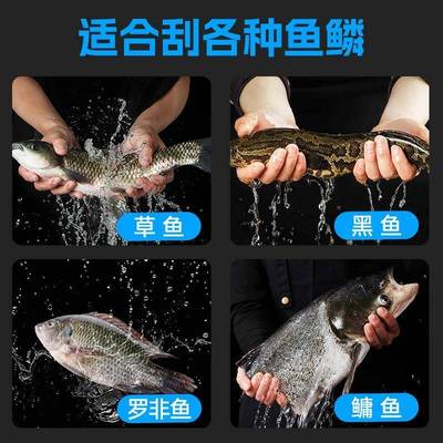 线电SAP动刮鳞机器神全自动打刨工鱼商鳞家用用打杀鱼鱼具
